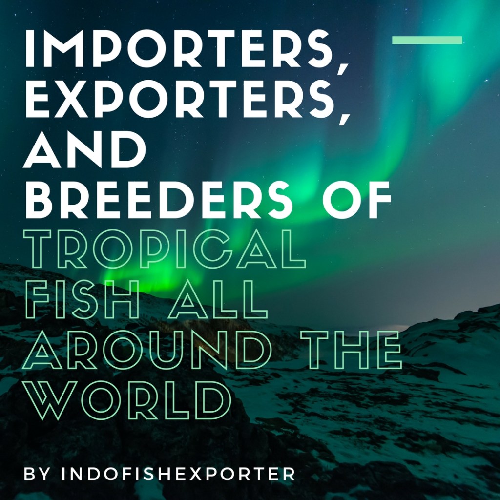 IMPORTERS, EXPORTERS, AND BREEDERS OF TROPICAL FISH ALL AROUND THE ...