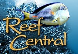 reef central