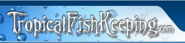 tropicalFishKeeping