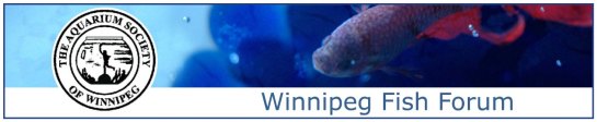 winnipegfishforum