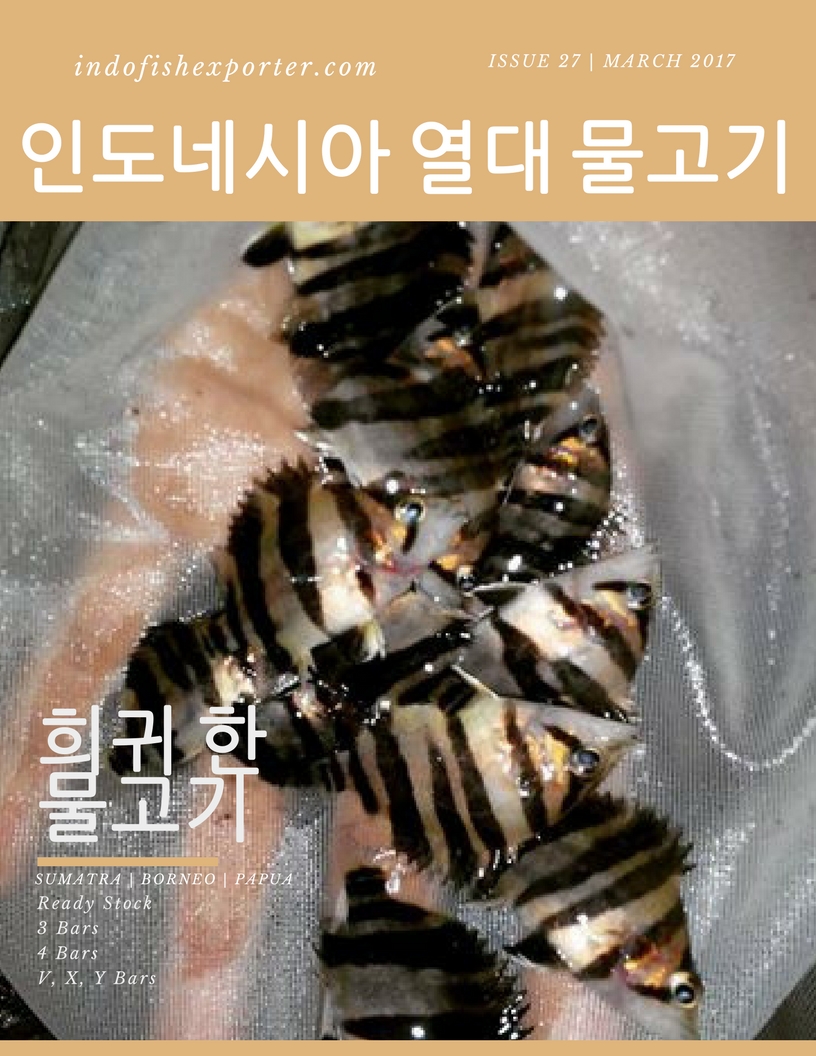 타이거 어류 (DATNIOIDES MICROLEPIS)