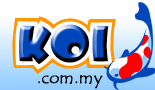koi my