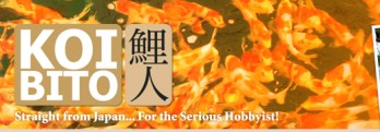 koibito_head