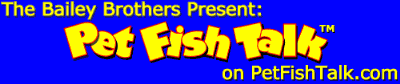pet fish talk