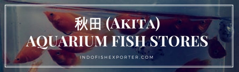 Akita Perfecture, Akita Fish Stores, Akita Japan