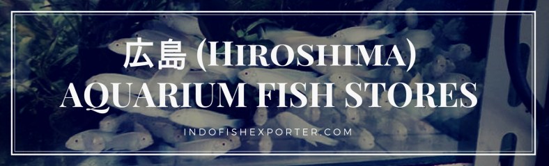 Hiroshima Perfecture, Hiroshima Fish Stores, Hiroshima Japan