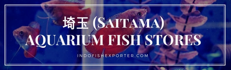 Saitama Perfecture, Saitama Fish Stores, Saitama Japan