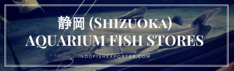 Shizuoka Perfecture, Shizuoka Fish Stores, Shizuoka Japan