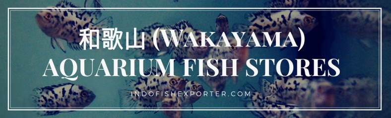 Wakayama Perfecture, Wakayama Fish Stores, Wakayama Japan