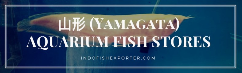 Yamagata Perfecture, Yamagata Fish Stores, Yamagata Japan